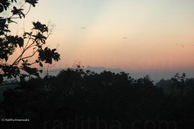 Adam's Peak (Sri Pada)