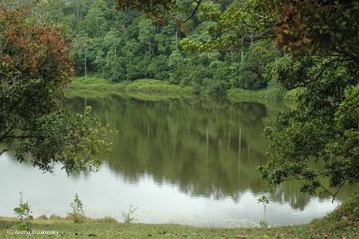 Hiyare, Galle - mini forest reserve